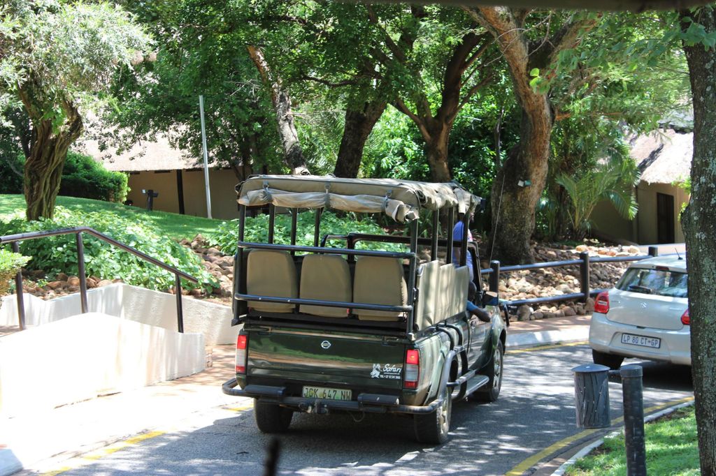 Entdecke die Natur auf einer geführten Safari 3h