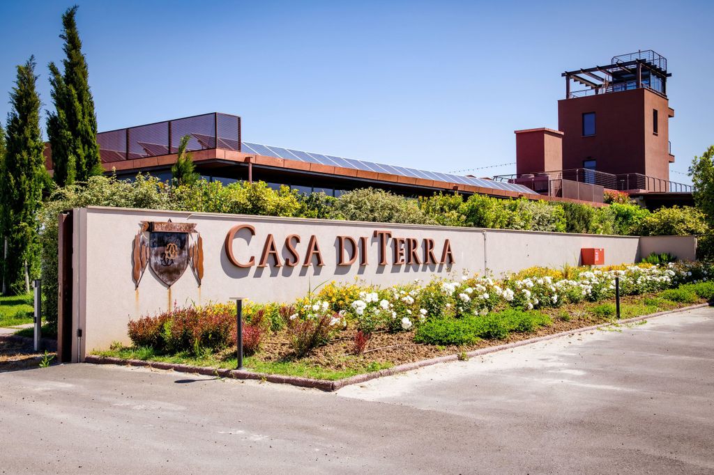 Bolgheri: Führung durch den Weinkeller und Verkostung unserer Weine