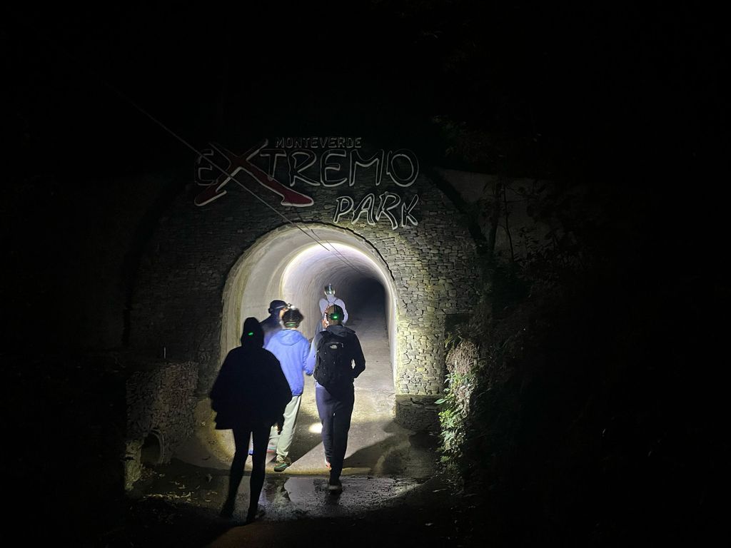 Monteverde: Zipline & Dschungel-Nachtwanderung