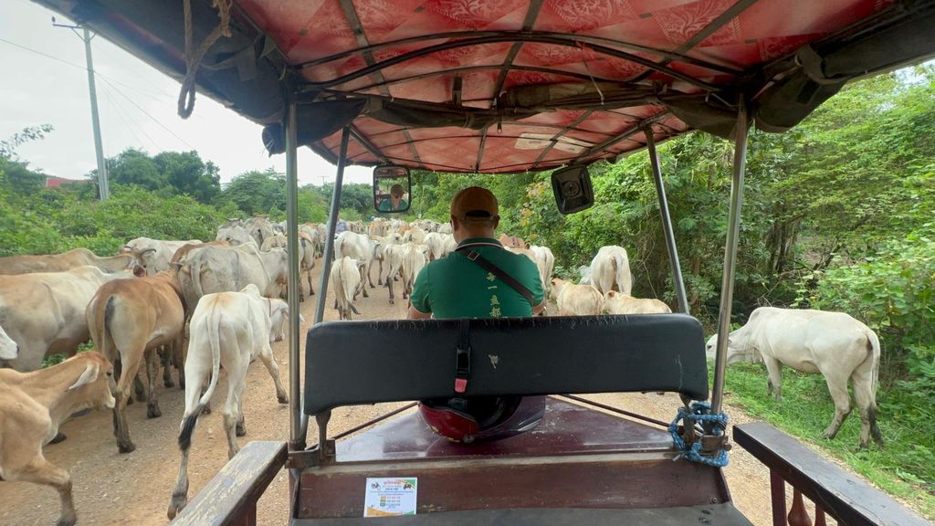 Eine Tagestour durch Battambang/Umgebung und Sehenswürdigkeiten