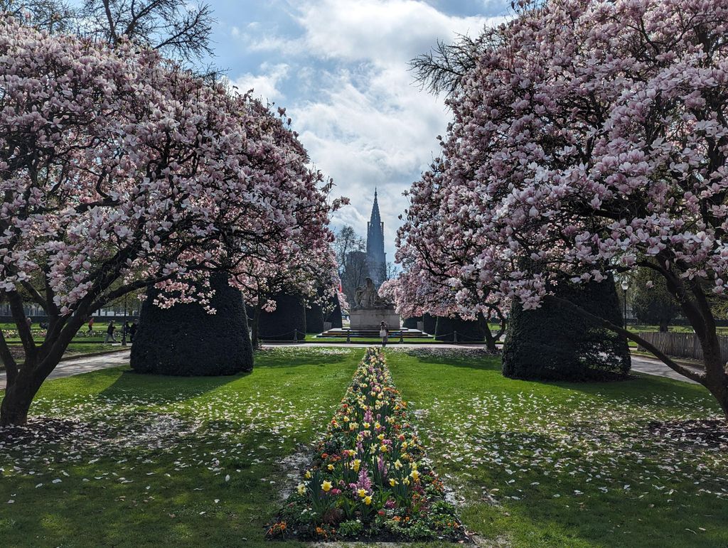 Straßburg: Geführter Rundgang durch die Kriege 1871-1945