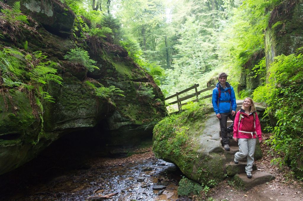 Luxemburg: Ganztagestour Natur, Geschichte und Schlösser