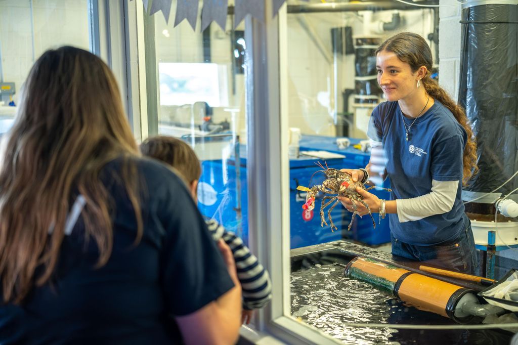 Eintrittskarte für die National Lobster Hatchery
