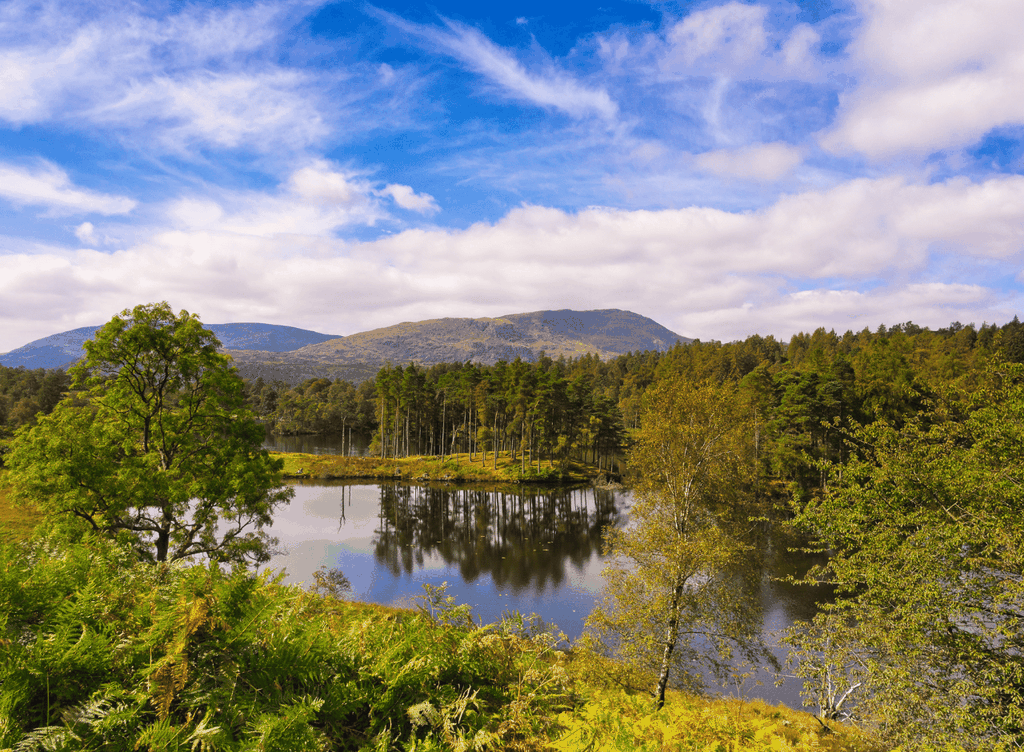Liverpool: Lake District Tour mit Bootsfahrt