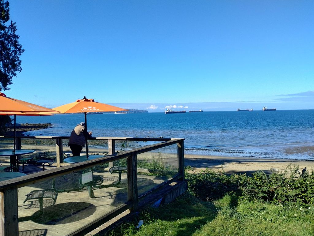 Capilano Br+Grouse Mtn+Dam+Lake&Hatcher/5in1/Kleine Gruppe/Auto