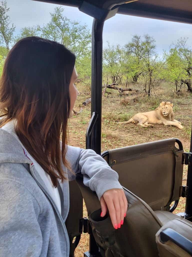 Mittlere mehrtägige Tour: Kruger & Panorama ab Johannesburg