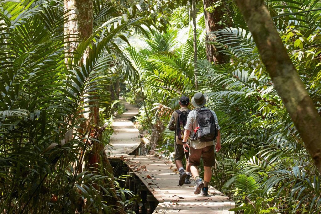 Kuala Lumpur: Cameron Highlands & Teeplantagen