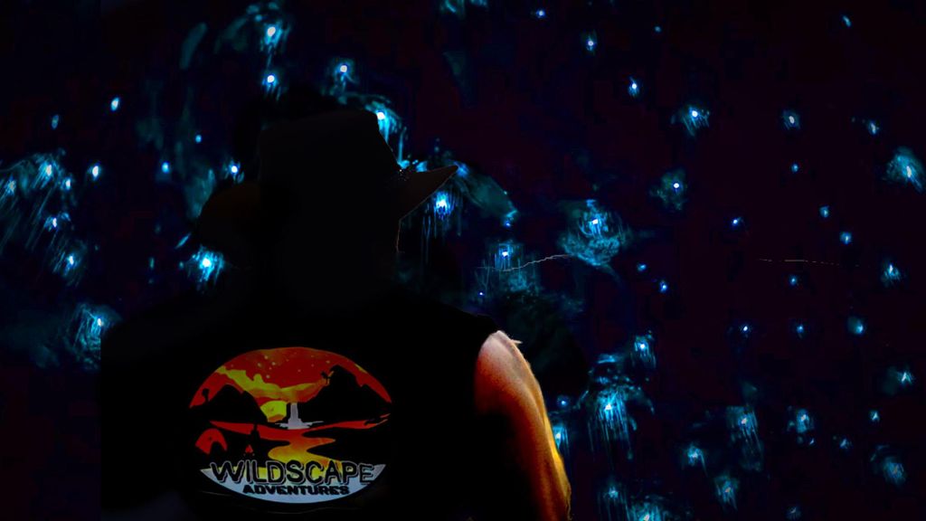 Sydney: Blue Mountains Glühwürmchen Wildes Abenteuer bei Nacht