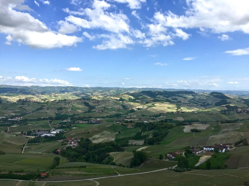 Langhe-Weintour mit Sommelier: Barolo, Barbaresco & mehr