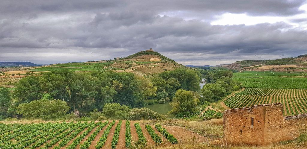 RIOJA: WEINTOUR MIT EINEM WEINBESITZER