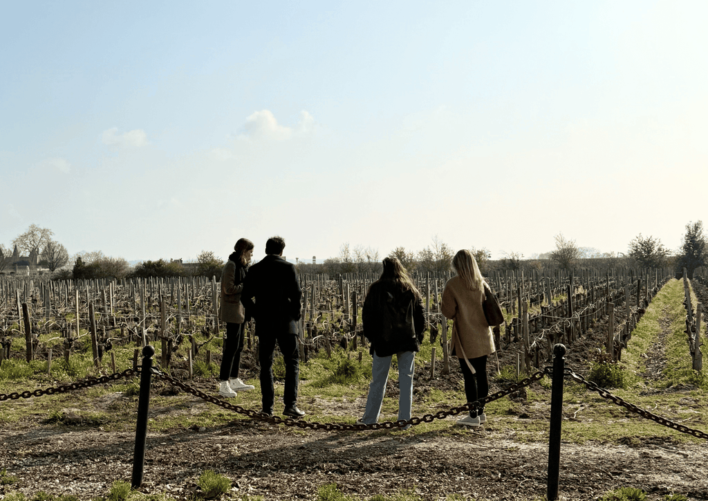 Bordeaux: Ganztagestour durch die Weinregion Médoc
