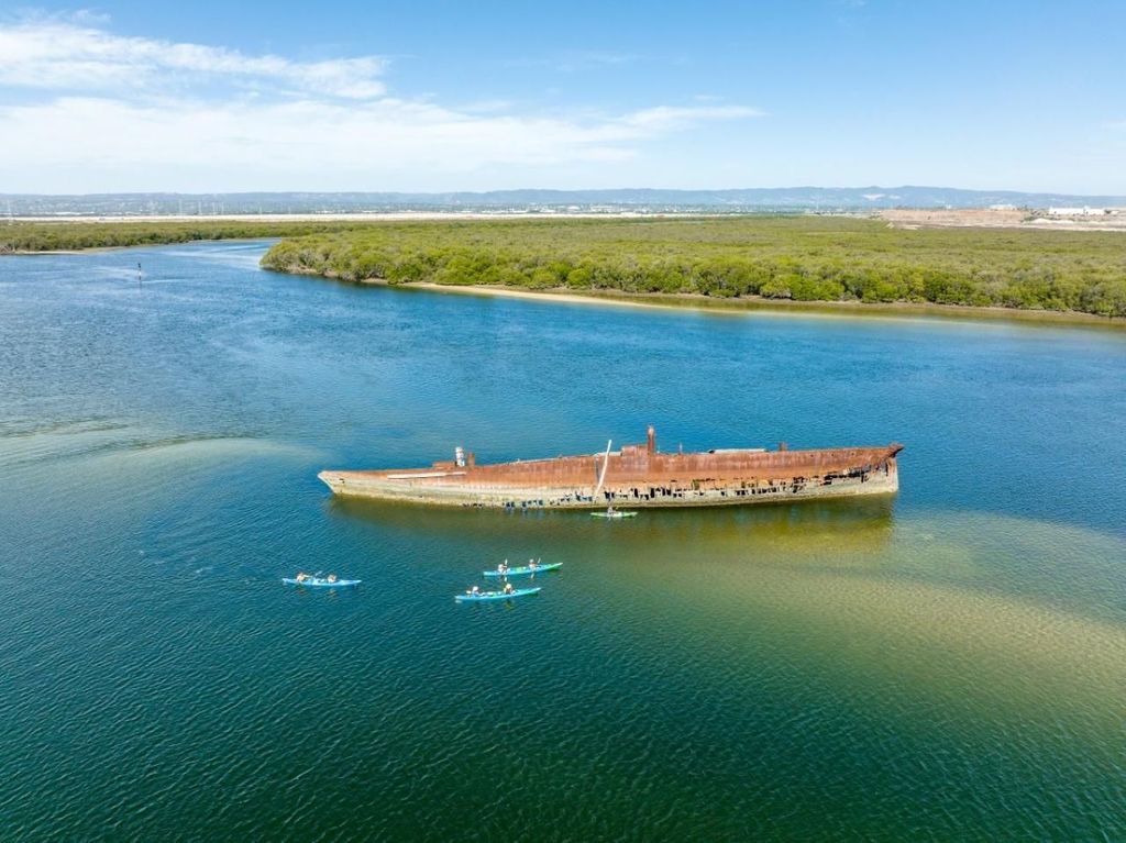 Kajaktour zum Delfinschutzgebiet und Schiffsfriedhof