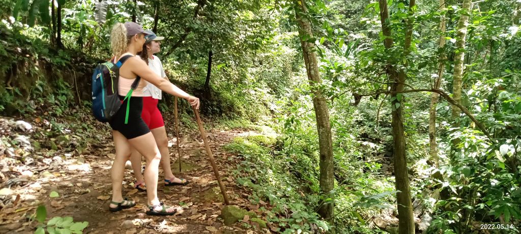 Wanderabenteuer durch den Grand E'tang RainForest