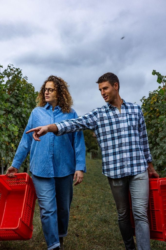 Alba (Grinzane Cavour): Tour durch die Weinberge, Weinkeller und Verkostung