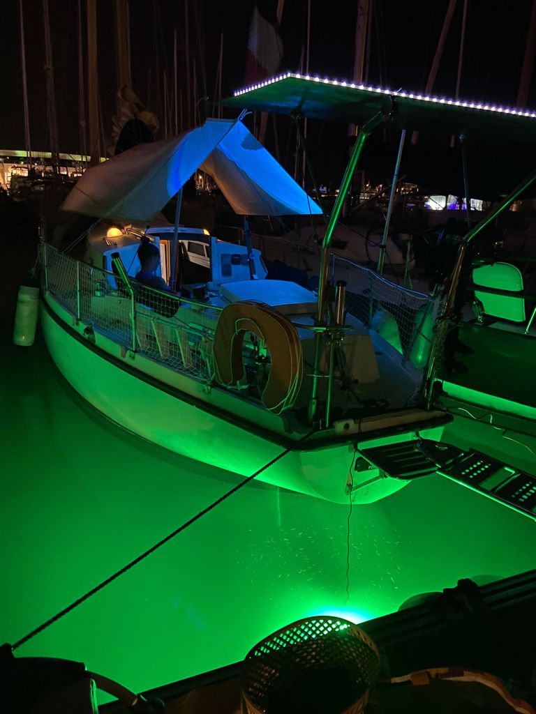 Ab Cannes: Halbtägige Tagestour mit dem Segelboot zu den Lerins-Inseln