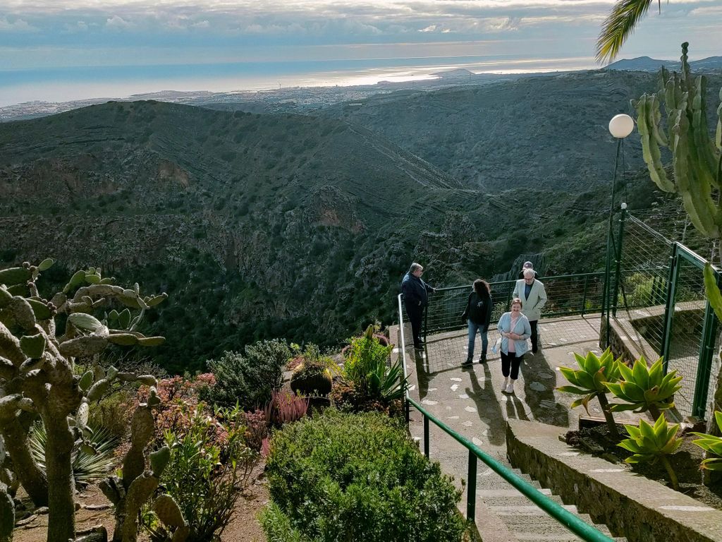 Ab Las Palmas: Halbtagestour mit Weinprobe