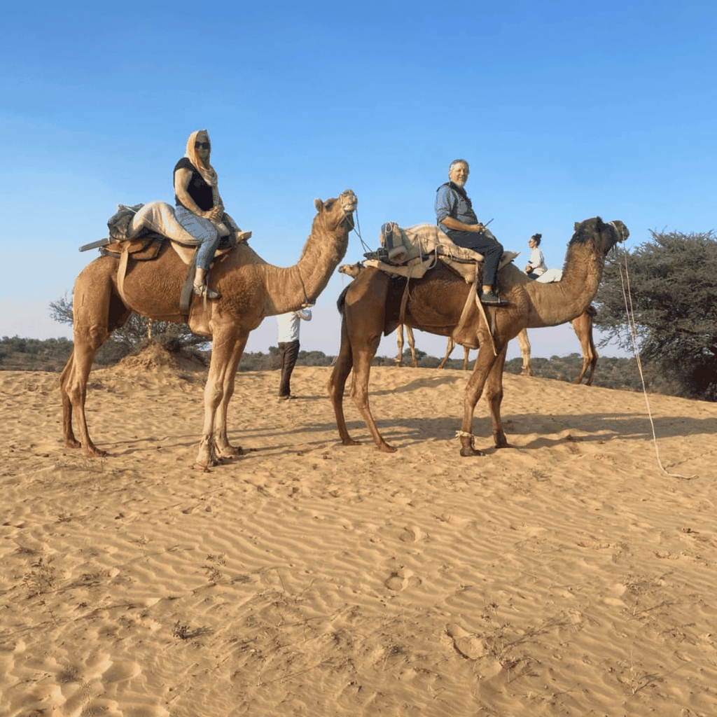 Jodhpur-Kamel- und Jeep-Safari mit Sonnenuntergang, Volkstanz und Abendessen