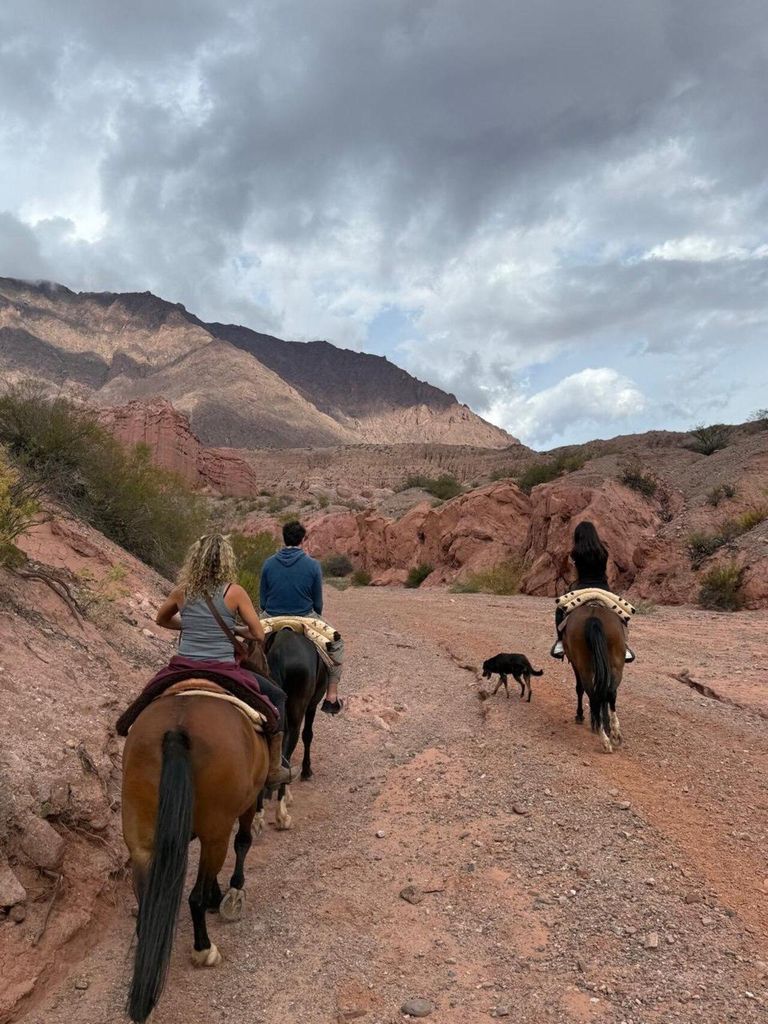 Malerisches Reitabenteuer nach El Toldito, alle Könnerstufen willkommen
