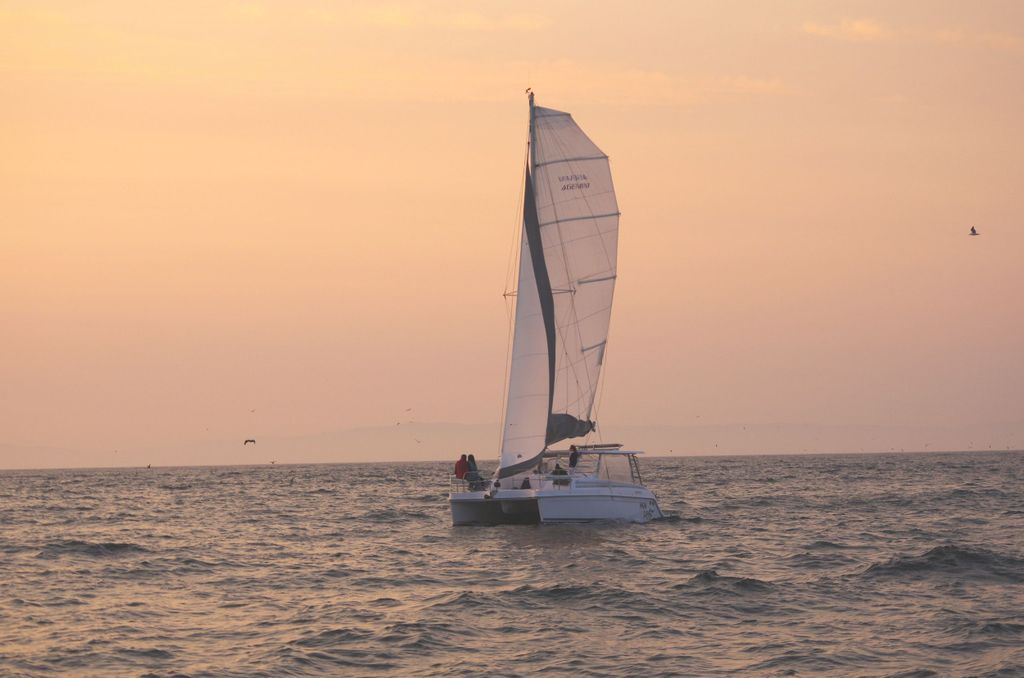 Monterey Bay: Katamaran-Segelkreuzfahrt bei Sonnenuntergang