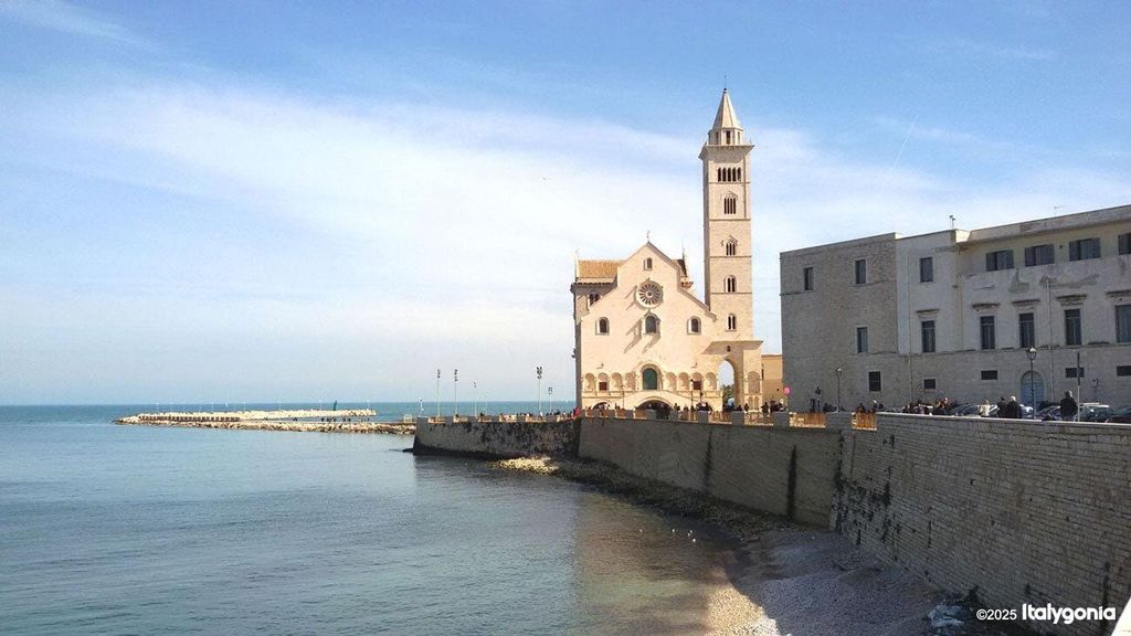 Gallipoli: Private Tagestour nach Trani und Monte Sant'Angelo