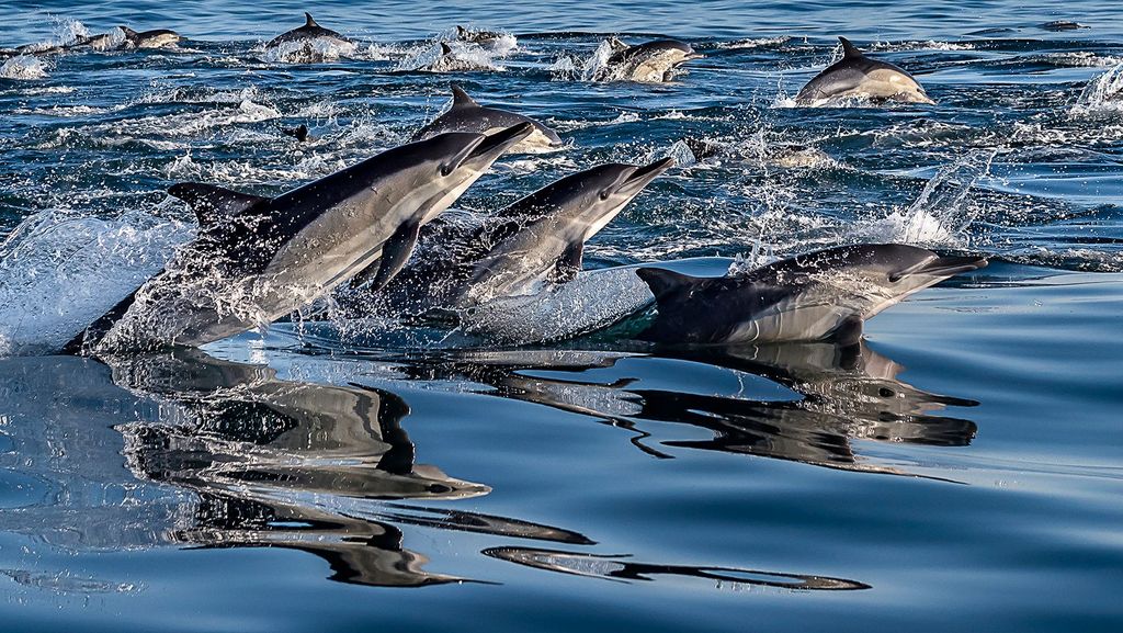Öko-Bootsfahrt und halbtägige Weinstraße mit Verkostungen