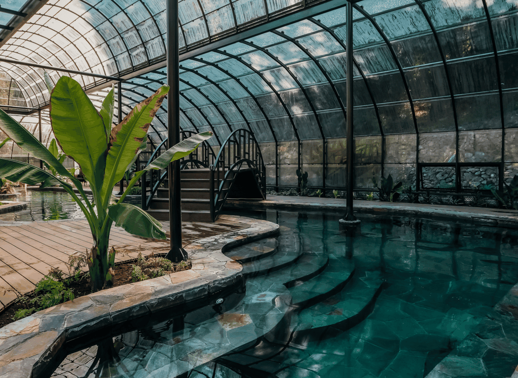 Pucón: Thermal- und Botanischer Park mit Transfer und Eintrittskarten