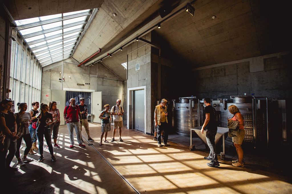 Badacsonytomaj: Weinprobe und Tour auf dem Weingut Pátzay