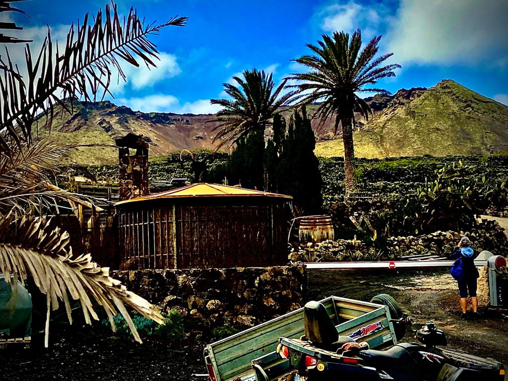 Geführter Ausflug zum Geburtshaus von Cesar Manrique Haria Lanzarote