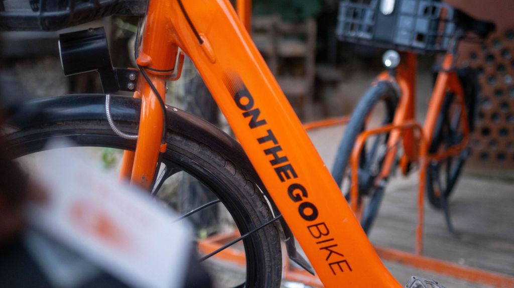 Paje: Ganztägiger Fahrradverleih mit Helm und Schloss