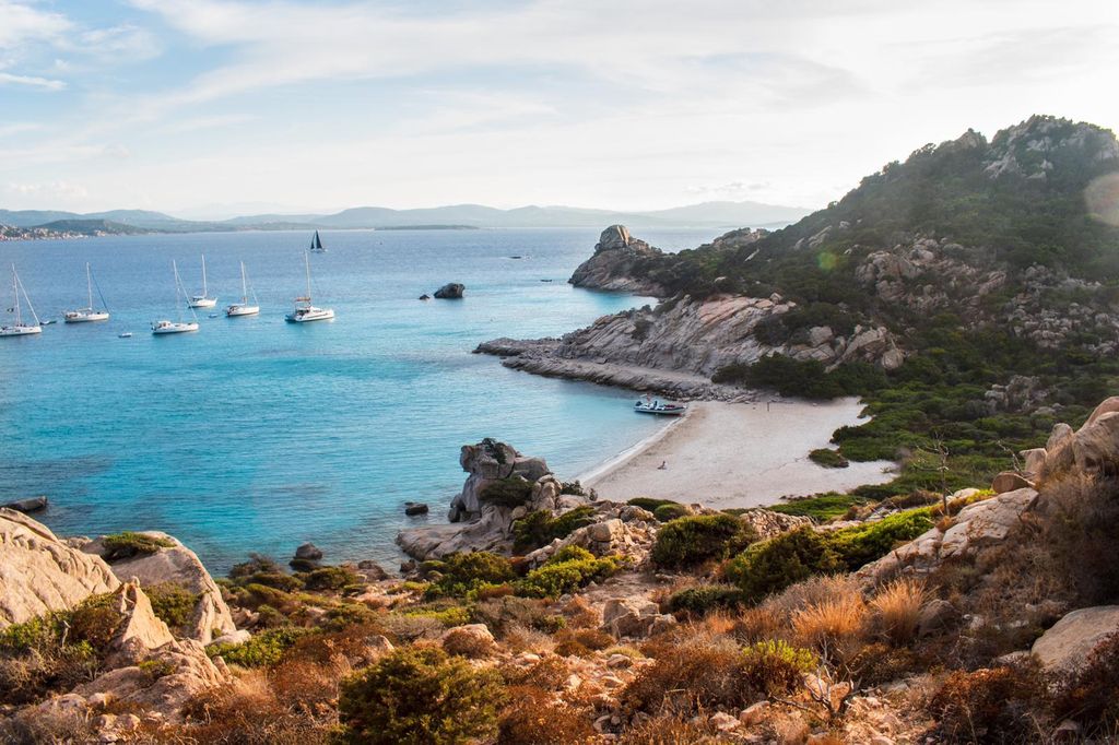 La Maddalena: Nachmittags-Schnorcheltour ab Porto Pollo