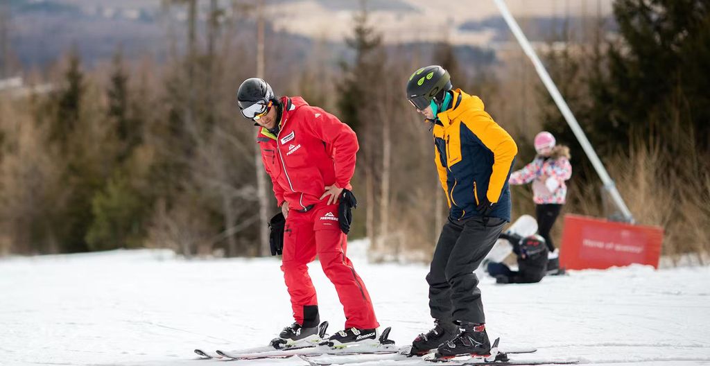 Tatranska Lomnica: Privater Skikurs für Erwachsene aller Niveaus