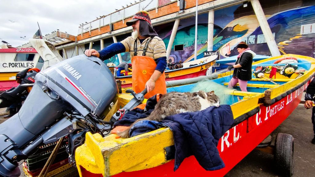 Santiago: Privater Transfer nach San Antonio über Valparaiso