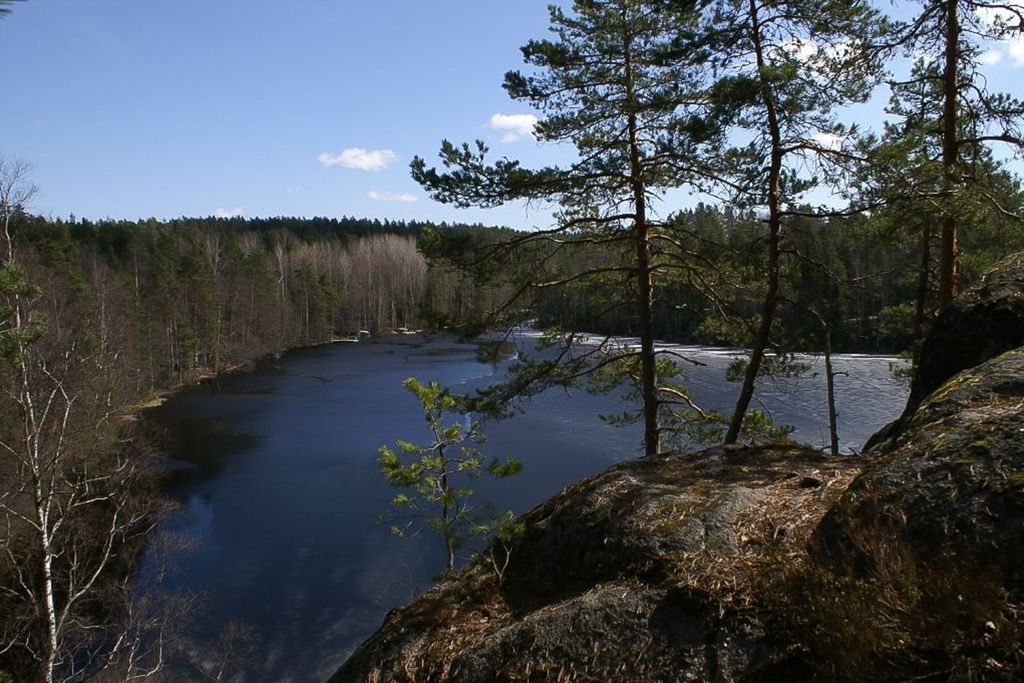 Von Helsinki aus: Halbtagestour in den Nuuksio-Nationalpark