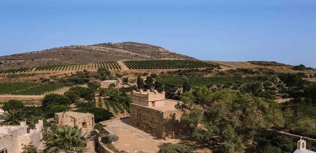 Naxos: Terra Grazia – Weingut-Tour und Weinprobe