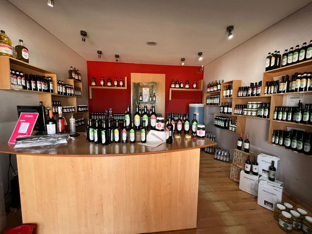 Weintour mit Mittagessen in Maipu