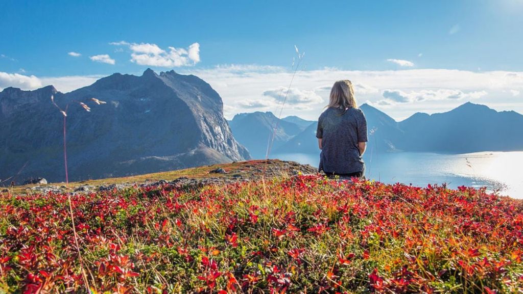 Tromsø: Fjord-Arktis-Abenteuer-Expedition