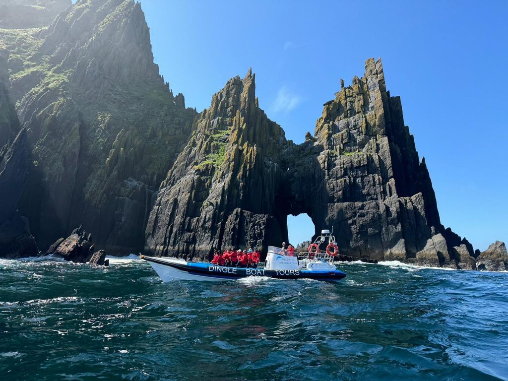 Dingle: Schnellboot-Tour zu den Blasket Islands