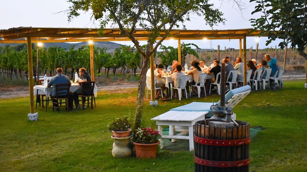 Alghero: Mittag- oder Abendessen im Weinberg