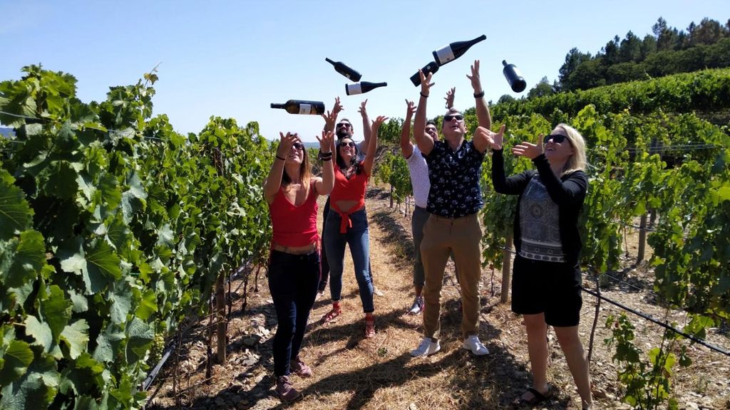 Von Porto aus: Douro Valley Tour mit Verkostungen, Boot und Mittagessen