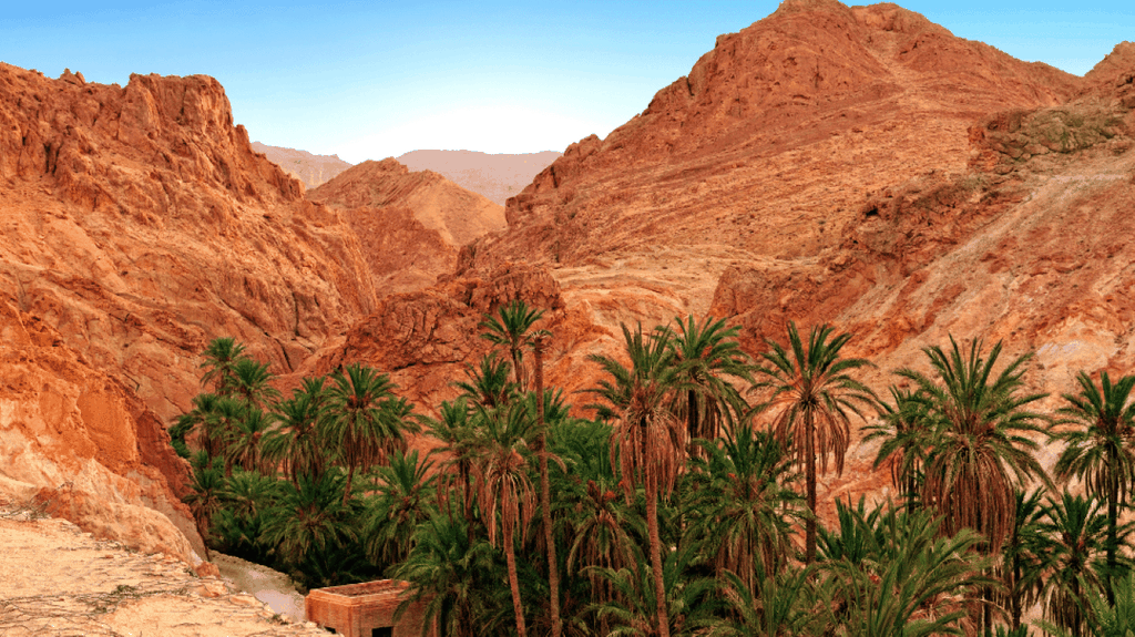 Entdecke Südtunesien in 4 Tagen