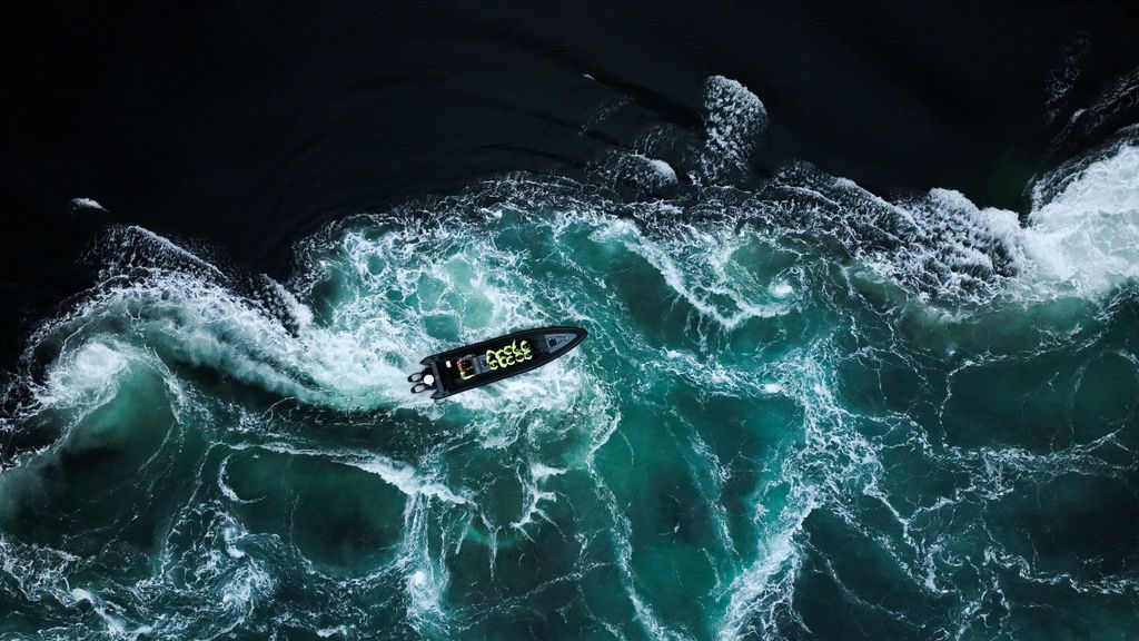 Bodø: Saltstraumen Seeadlerfahrt mit dem RIB