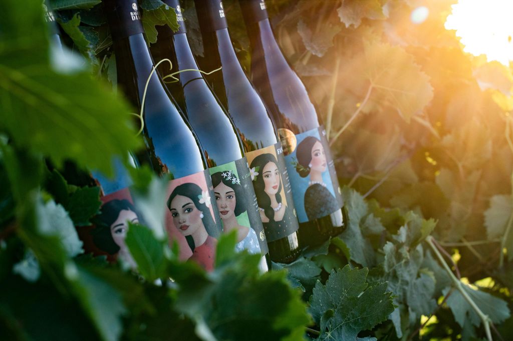 Tour durch das Weingut und Verkostung sizilianischer Bioweine in Marsala