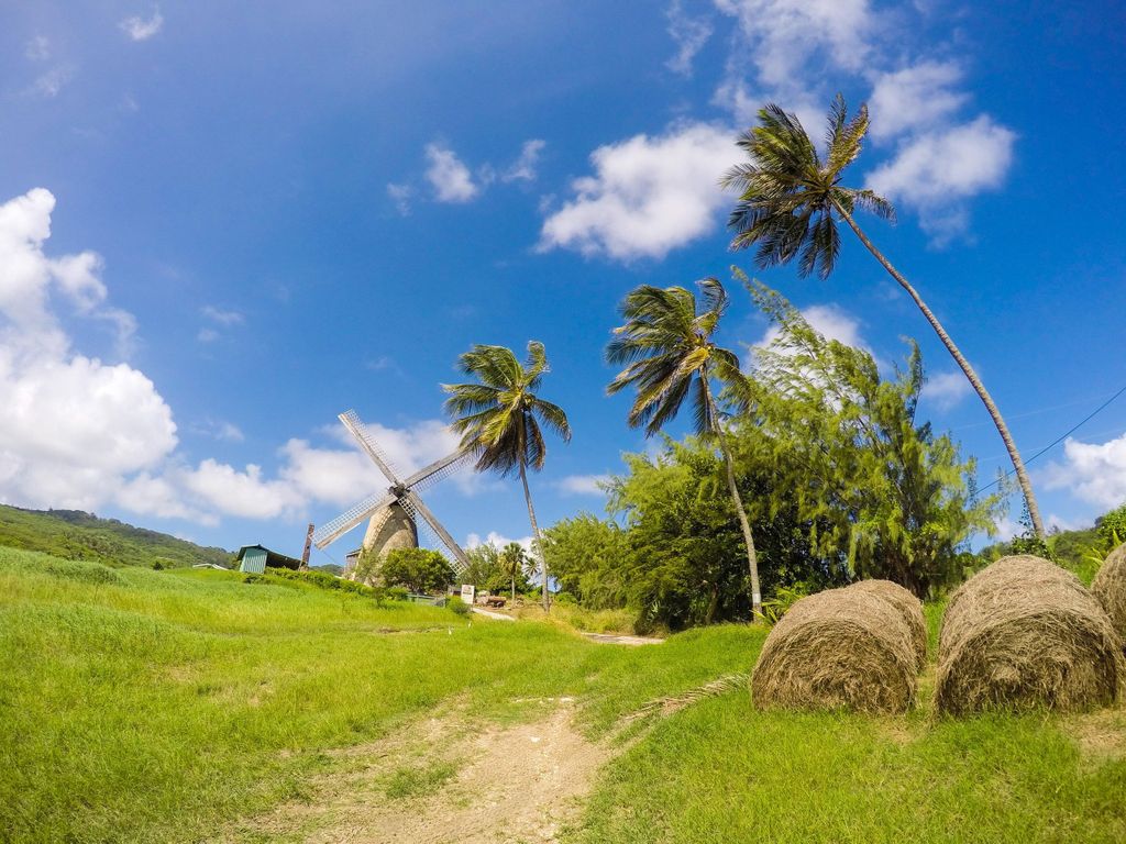 Barbados Highlights & Rum-Tour