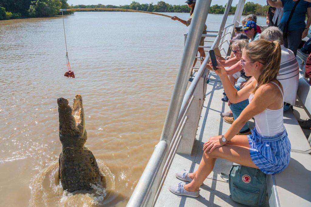 Jumping Crocodile Cruise ab Darwin Halbtages-Szenenfahrt