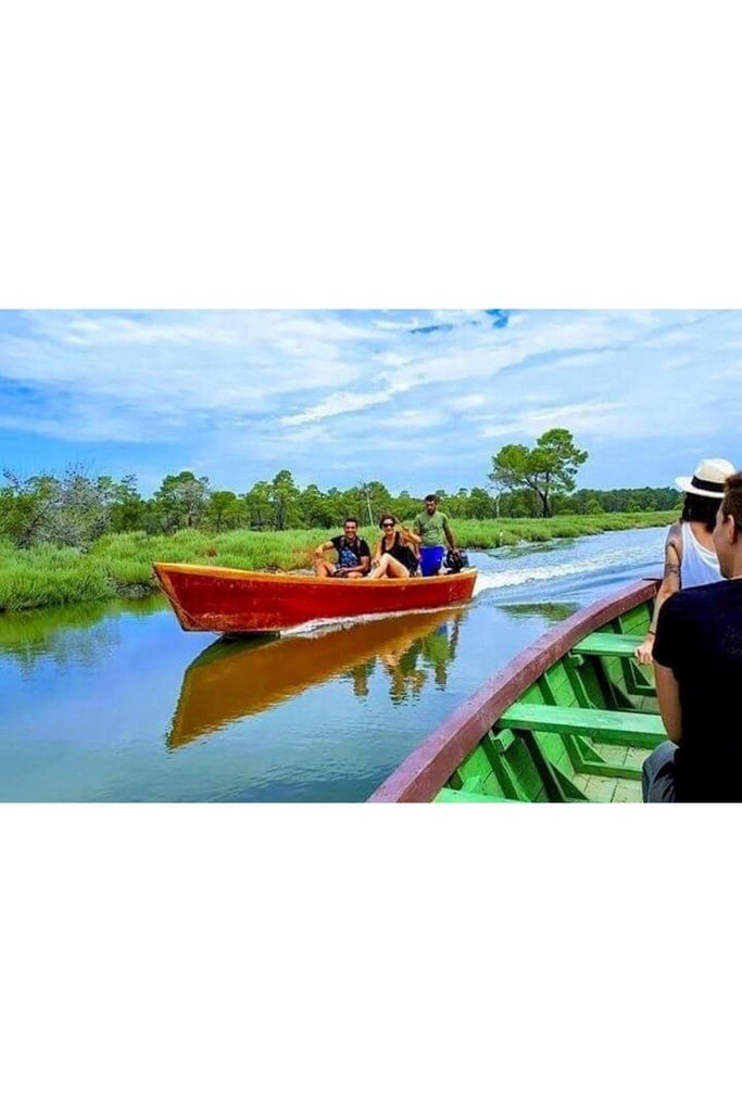 Von Durres aus: Karavasta Lagune & Apolonia Antike Stadtführung