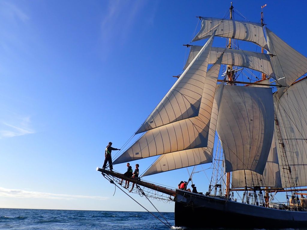 Bay of Islands: Ganztägiger Segelausflug mit einem großen Schiff