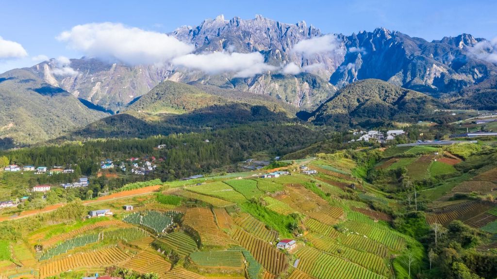 Kundasang: Tagestour mit der Desa Dairy Farm und dem Alpaka Club