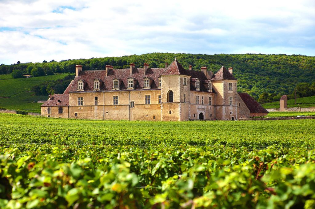 Von Dijon: Tour durch die Weinberge der Côte de Nuits und Côte de Beaune
