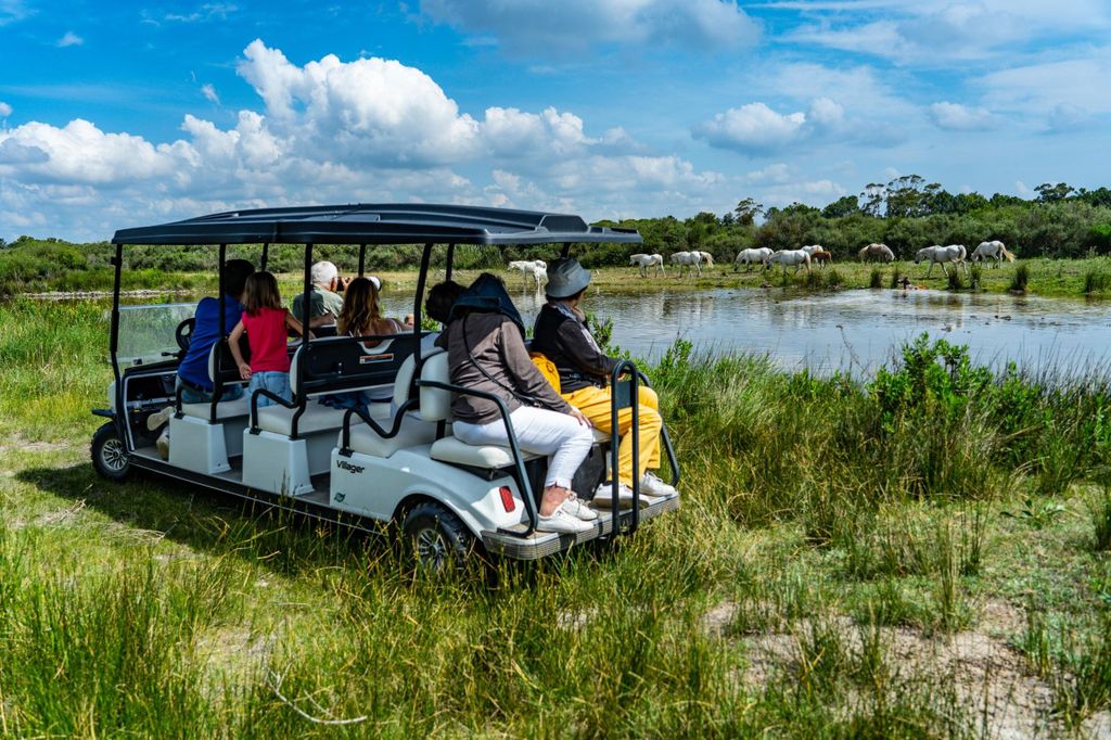 Camargue: Elektrische Safari mit Guide in einem privaten Reservat