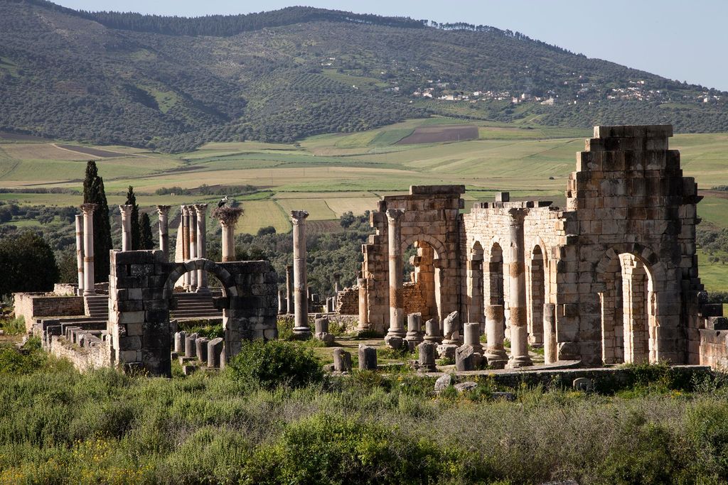 Von Fes aus: Volubilis, Moulay Idriss & Meknès Tagestour